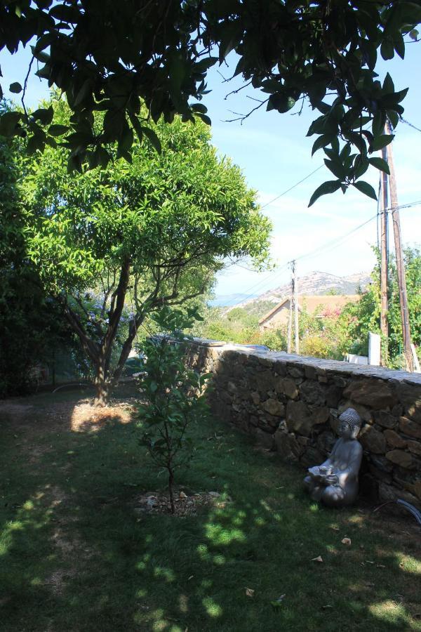 Studio Zen Barbaggio Exterior foto